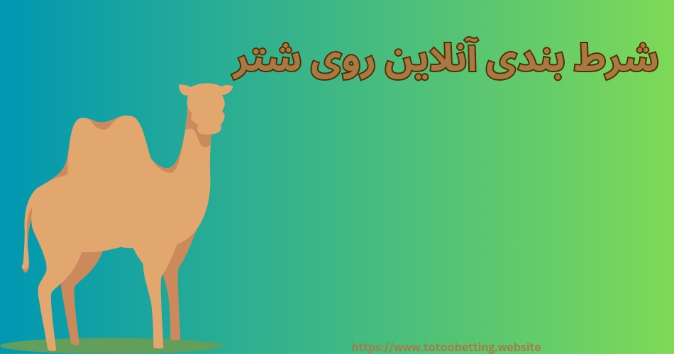 شرط بندی آنلاین روی شتر