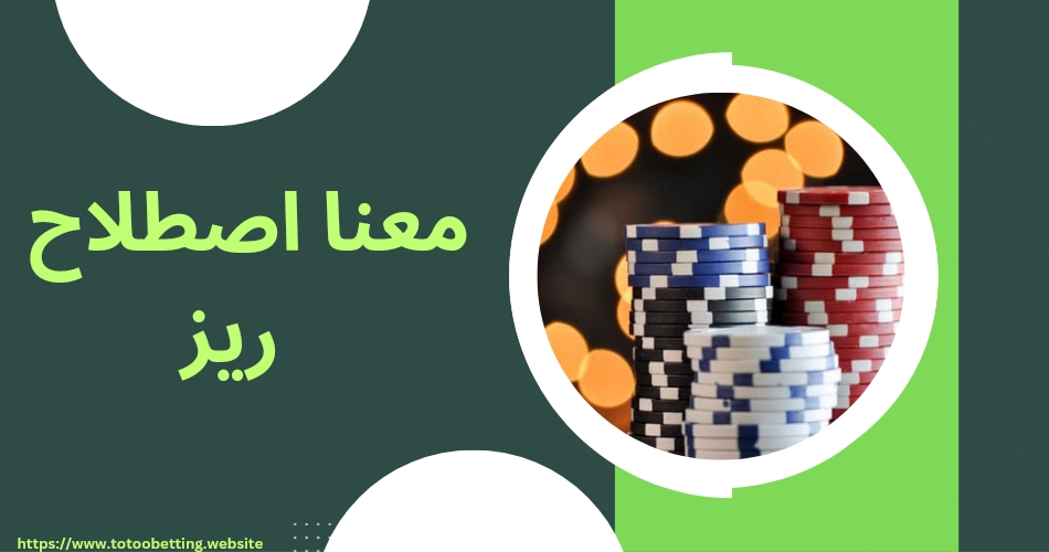 اصطلاح ریز چه معنا و مفهومی دارد