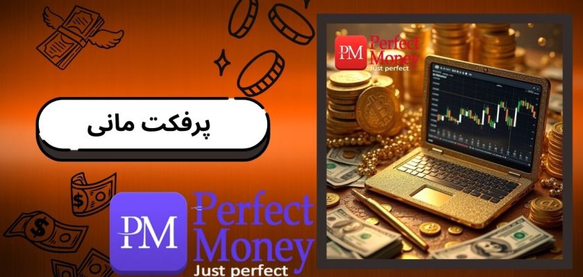 پرفکت مانی